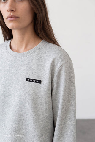 BL-ALONA ART 2 Sweatshirt Ljusgrått